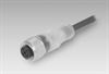 Imagem de ESG 32AH0200 / 10127800 - Conector Baumer