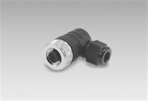 Imagem de ES 14A PG7 / 10255464 - Conector Baumer