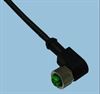 Imagem de CD12M/0B-050C1 - Cabo MD *